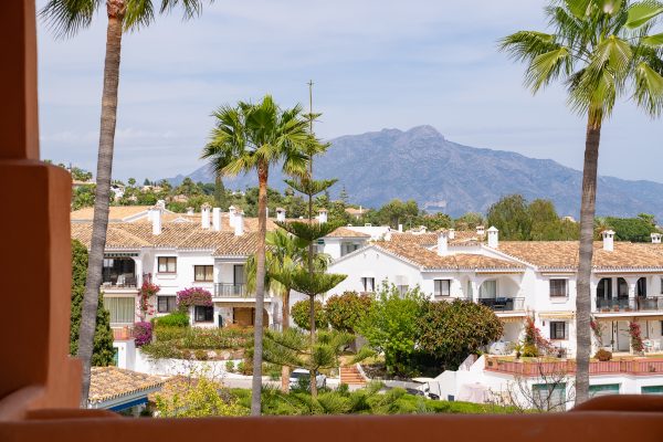 Recently Listed Properties